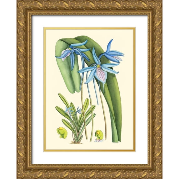 Curtis 24x32 Gold Ornate Wood Framed with Double Matting Museum Art Print Titled - Periwinkle Blooms IV