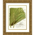 thumbnail image 1 of Curtis 25x32 Gold Ornate Wood Framed with Double Matting Museum Art Print Titled - Palm Melange I, 1 of 4