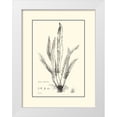 thumbnail image 1 of Curtis 25x32 White Modern Wood Framed Museum Art Print Titled - BW Fern IV, 1 of 4