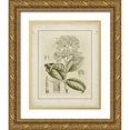 thumbnail image 1 of Curtis 26x32 Gold Ornate Wood Framed with Double Matting Museum Art Print Titled - Small Tinted Botanical III, 1 of 4