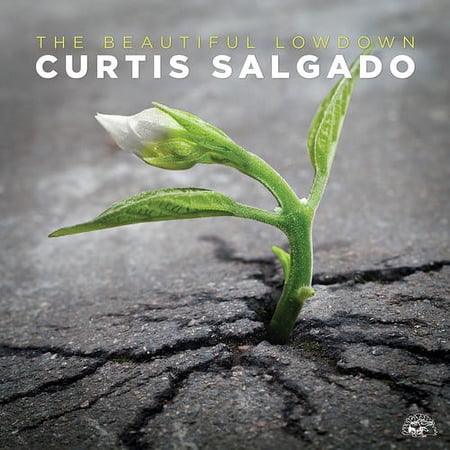 Curtis Salgado - The Beautiful Lowdown - Music & Performance - CD