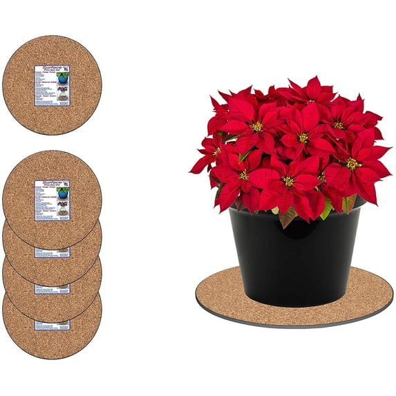 Curtis Wagner Plastics Corp. MC-600 Cork Plant Mat (6" Diameter, Cork, 5-Pack) - Round Cork Plant Coasters - Use as Planter, Coaster or Pads for your Arts & Crafts Projects