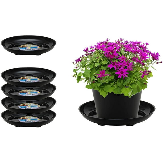 Curtis Wagner Plastics DS-1600B Carpet Saver Plant Tray Drip Pans (5-Pack) - Black, Round (Diameter = 16" top, 14" Bottom, 1.62" Depth) Thick Plastic Indoor & Garden - Clear, Black & Terracotta
