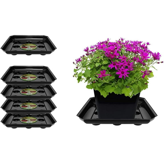 Curtis Wagner Plastics Designer Series Plant Saucer (5-Pack) - Black, Square (Diameter: 5.75" Base, 8" Top, 1.62" Depth) Thick Plastic Plant Drip Trays - Used as Indoor Pot/Outdoor Plant Saucers