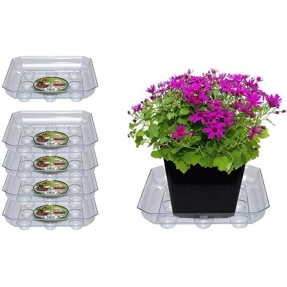 Curtis Wagner Plastics Designer Series Plant Saucer (5-Pack) - Clear, Square (Diameter: 7.75" Base, 10" Top, 1.62" Depth) Thick Plastic Plant Drip Trays - Used as Indoor Pot/Outdoor Plant Saucers