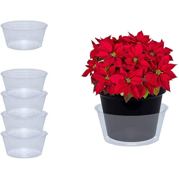 Curtis Wagner Plastics Plant Tray Basket Liner (5-Pack) - Clear, Deep (Diameter = 8 Top, 6 Bottom, 3.5 Depth) Thin Plastic For Indoor or Garden - Clear, Black & Terracotta Floor Savers