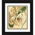 thumbnail image 1 of Curtis, William 26x30 Black Ornate Wood Framed with Double Matting Museum Art Print Titled - Orchid, Coryanthes Maculata, 1 of 4