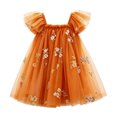 thumbnail image 1 of Curuila Infant Toddler Girls Mesh Dress Flutter Sleeve Floral Embroider Square Neck Party Fashionable Dresses For Girls Size 6-12 Months, 1 of 7