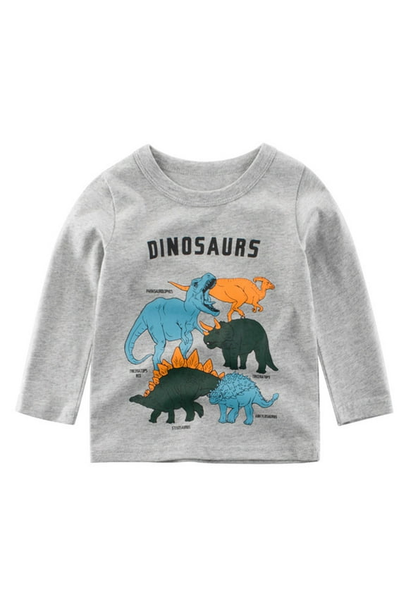 Toddler Kids Tops Dinosaur Letter Print Long Sleeve Crew Neck T Shirts Tee Clothes For Baby Boys Girls Grey Size 3-4 Years