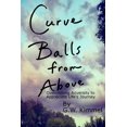 thumbnail image 1 of Curve Balls from Above: Overcoming Adversity to Appreciate Life's Journey, 1 of 1