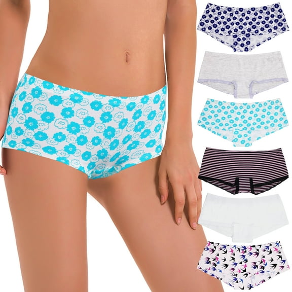 Curve Muse Pack of 6 Sexy Sheer Lace Tanga Hipster Boyshort Panties -Pack B-S/5