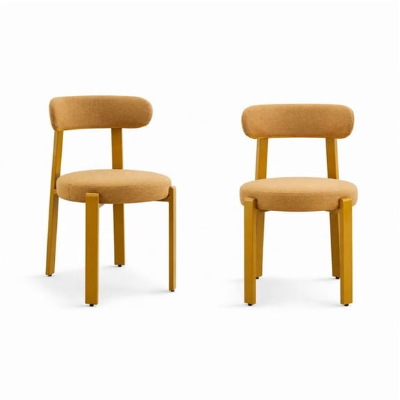 Curved Back Dopamine Style Accent Side Chairs 2Pc Set