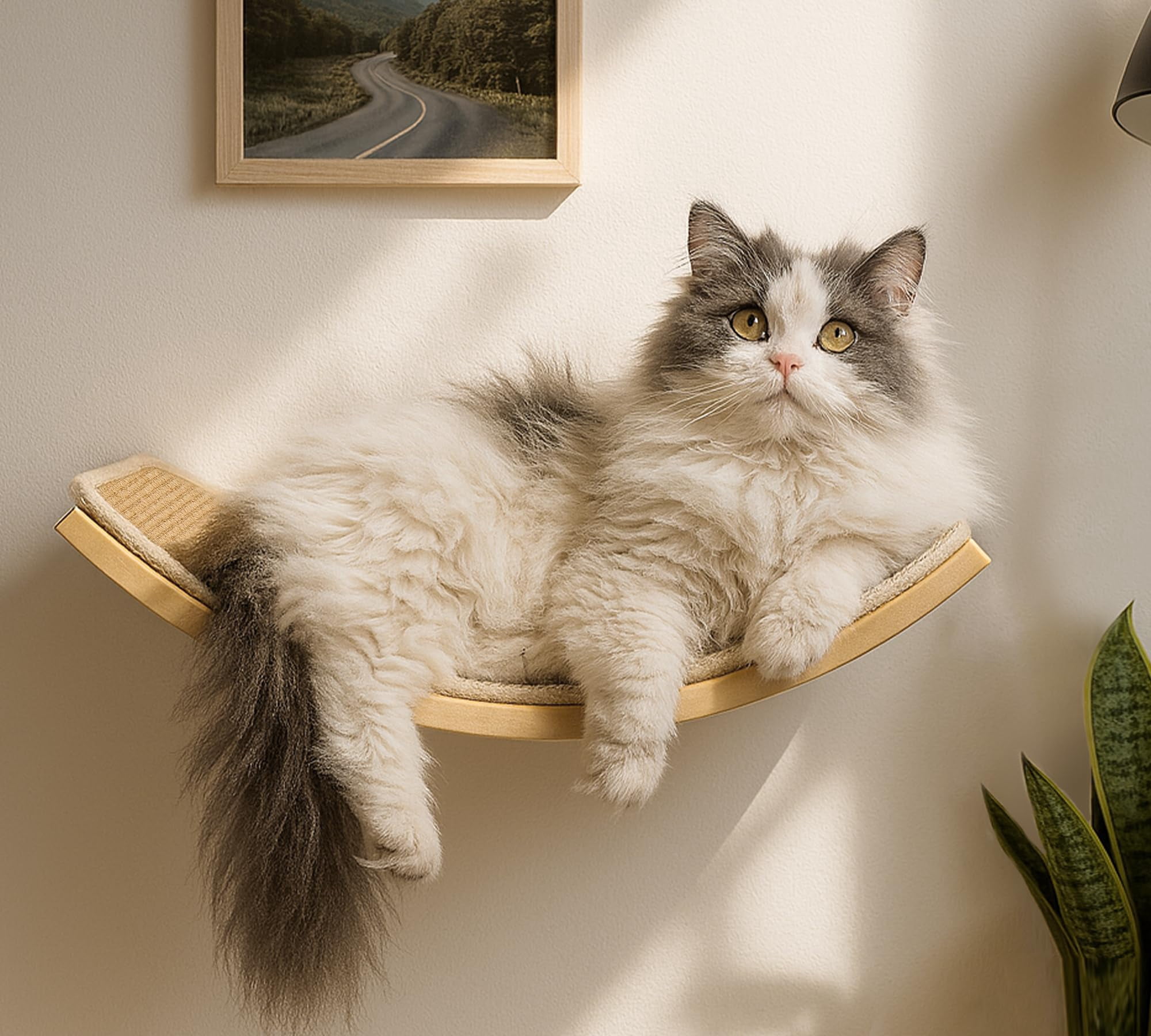 Curved Cat Wall Hammock With Scratchable Sisal Pad  Large Floating Shelf For Mounted Beige Bed Playing Climbing And Sleeping