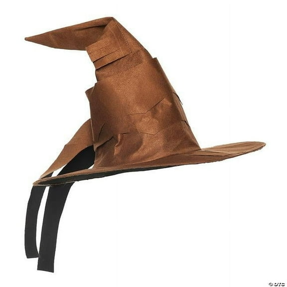 Curved Witch/Wizard Hat - Adult Accessory