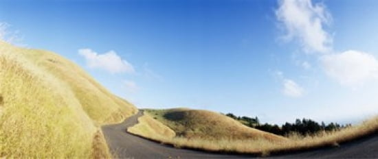 Curved road on the mountain Marin County California USA Canvas Art - Panoramic Images (30 x 13)
