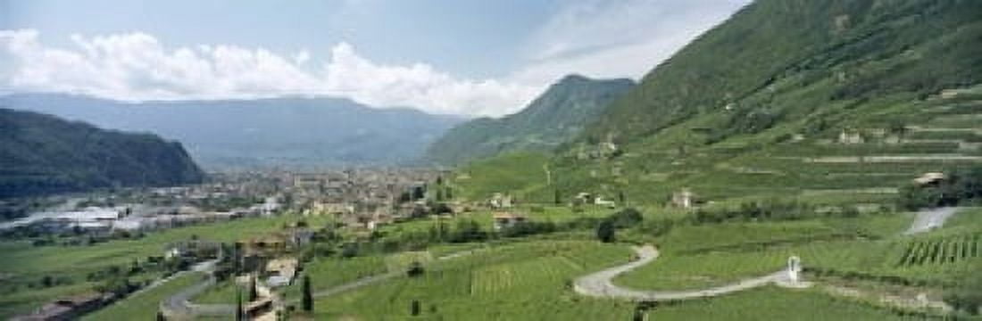 Curved road passing through a landscape Bolzano Alto Adige Italy Canvas Art - Panoramic Images (18 x 6)