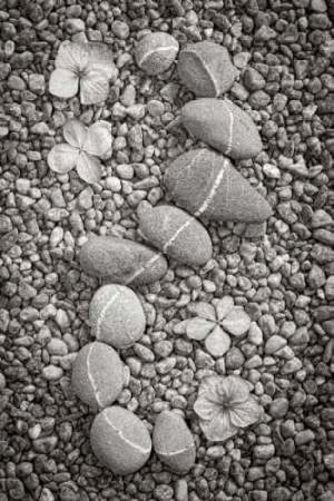 Curving Rocks I Canvas Art - Kathy Mahan (12 x 18)