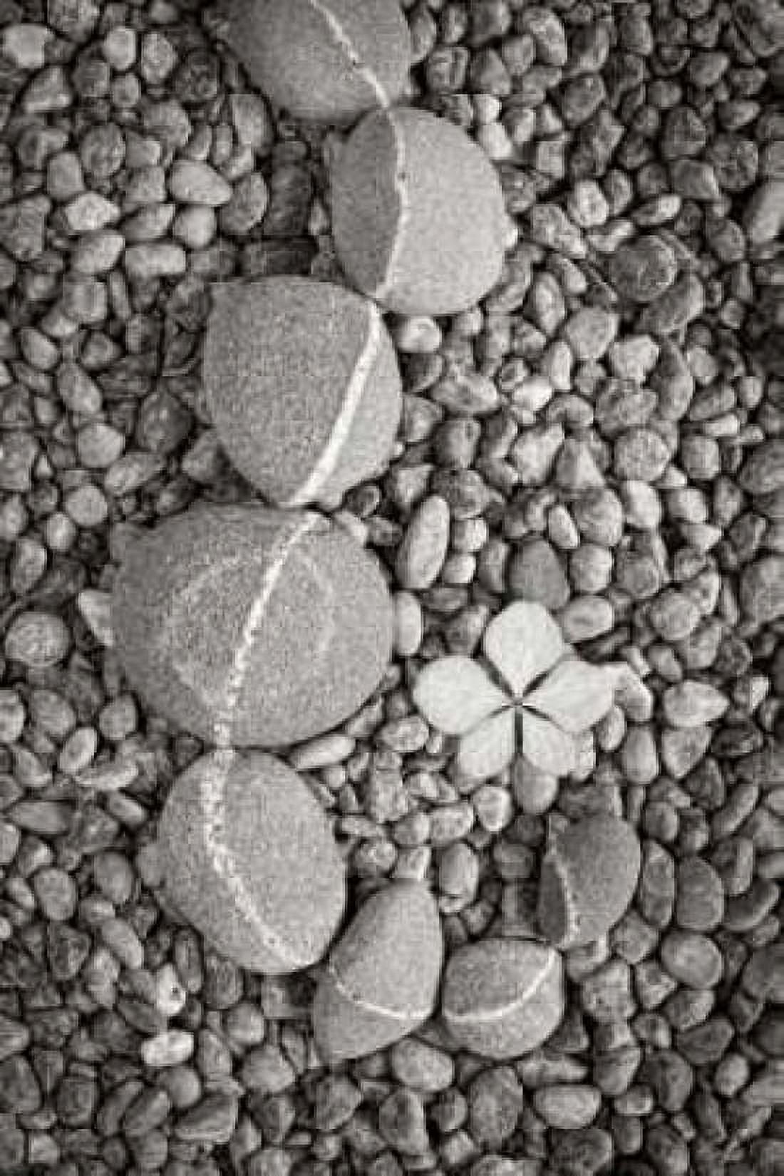 Curving Rocks II Canvas Art - Kathy Mahan (12 x 18)