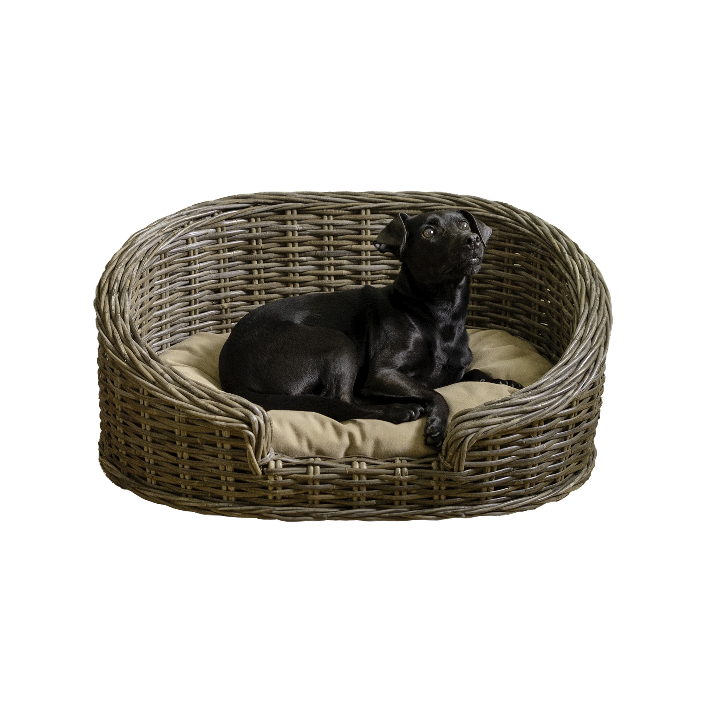 Curved Handwoven Rattan Elevated Dog Bed with Beige Cushion