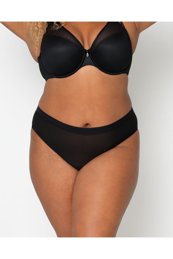 Sheer Mesh High Cut Brief Panty