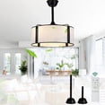 thumbnail image 1 of Cusp Barn 19" Black Bohemian Drum Caged Ceiling Fan with Light, 6 Speed Modern Bladeless Fandelier Ceiling Fan, 1 of 14