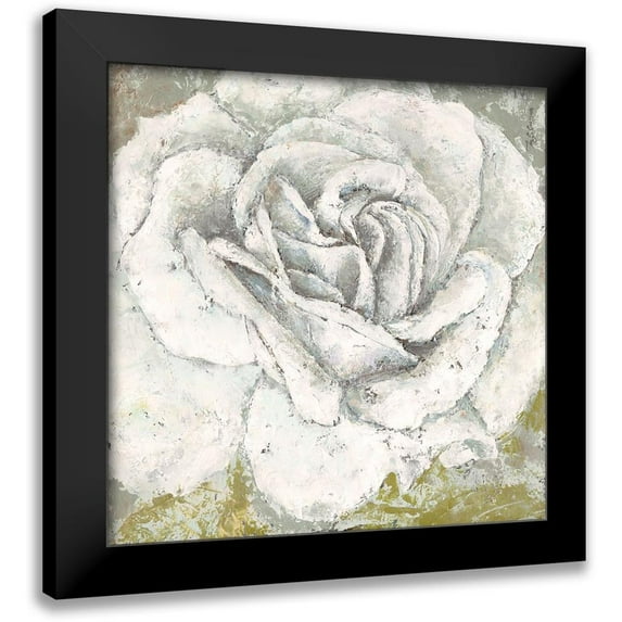 Cusson, Marie-Elaine 12x12 Black Modern Framed Museum Art Print Titled - White Rose Blossom Square