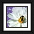 thumbnail image 1 of Cusson, Marie Elaine 12x12 Black Ornate Wood Framed with Double Matting Museum Art Print Titled - Flower Pop IV, 1 of 4