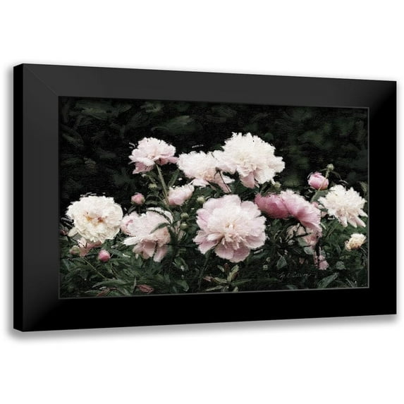 Cusson, Marie Elaine 18x13 Black Modern Framed Museum Art Print Titled - Peony Poetry II