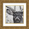 thumbnail image 1 of Cusson, Marie Elaine 20x20 Gold Ornate Wood Framed with Double Matting Museum Art Print Titled - Deer Portrait, 1 of 4