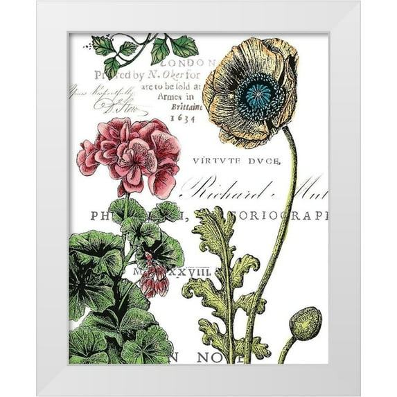 Cusson, Marie Elaine 20x24 White Modern Wood Framed Museum Art Print Titled - Botanical Postcard Color III