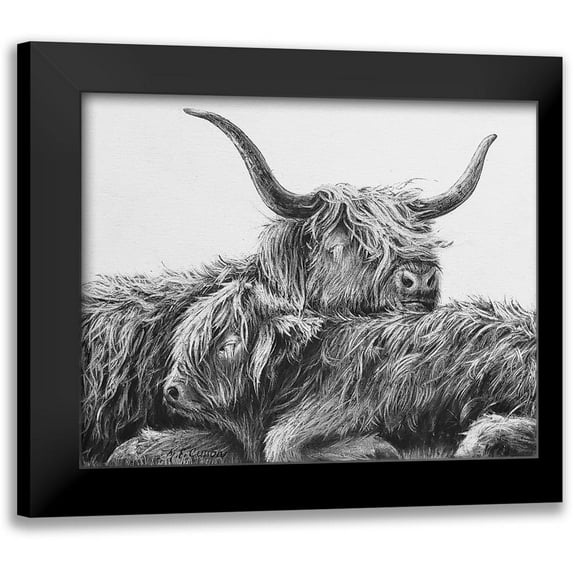 Cusson, Marie Elaine 24x20 Black Modern Framed Museum Art Print Titled - My Highland V