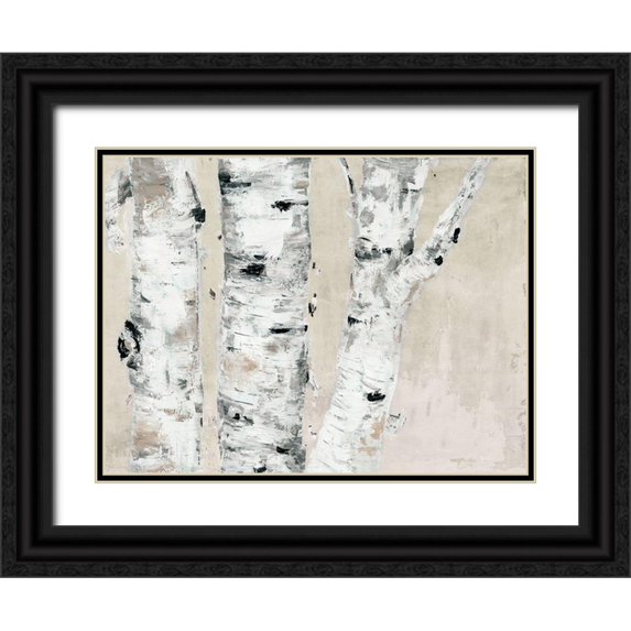 Cusson, Marie Elaine 32x25 Black Ornate Wood Framed with Double Matting Museum Art Print Titled - Birch Tree Close Up Neutral