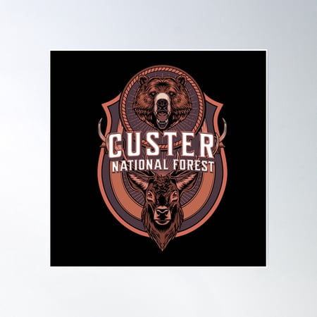 Custer National Forest Montana South Dakota Poster Wall Art, Modern Wall Decor, 16x16 UNFRAMED