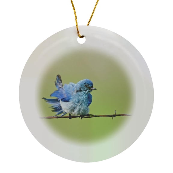 3drose, Custer State Park, South Dakota, Mountain Bluebird - Us42 Ldi0000 - Larry Ditto, Circle Porcelain Ornament