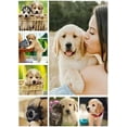 thumbnail image 1 of Custom Blanket with Photo Text Personalized Throw Blankets, Customized Picture Blanket Baby Fathers Mothers Friends Lovers Dog Pets Personalized Halloween Flannel Blanket (p-6, 32x48), 1 of 6