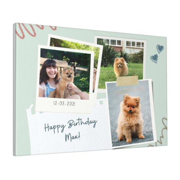 Custom Canvas Prints Mint And Beige Puppy Happy Birthday Personalized Photo Image Collage DIY Framed Kit Wall Art Picture Room Decor 16x20 inch