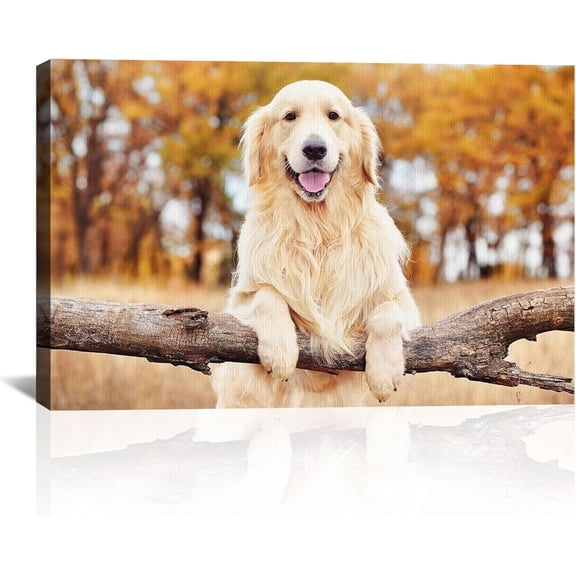 Custom Canvas Prints with Your Photos Personalized Photo Canvas Print Wall Art Customized Canvas Picture Frame Gifts for Pet Baby Family Mom Dad Men Women Couple Boyfriend Girlfriend Framed 10x8