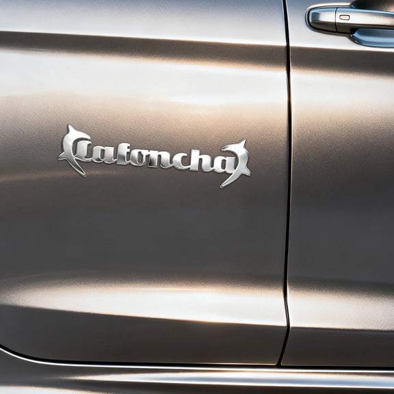 Custom Car Stickers, Custom Stainless Steel Car Stickers, Personalized Name & Text Emblem, Waterproof Metal Decal for Cars, Vans, Boats, Bicycles, Refrigerators, Walls & Doors