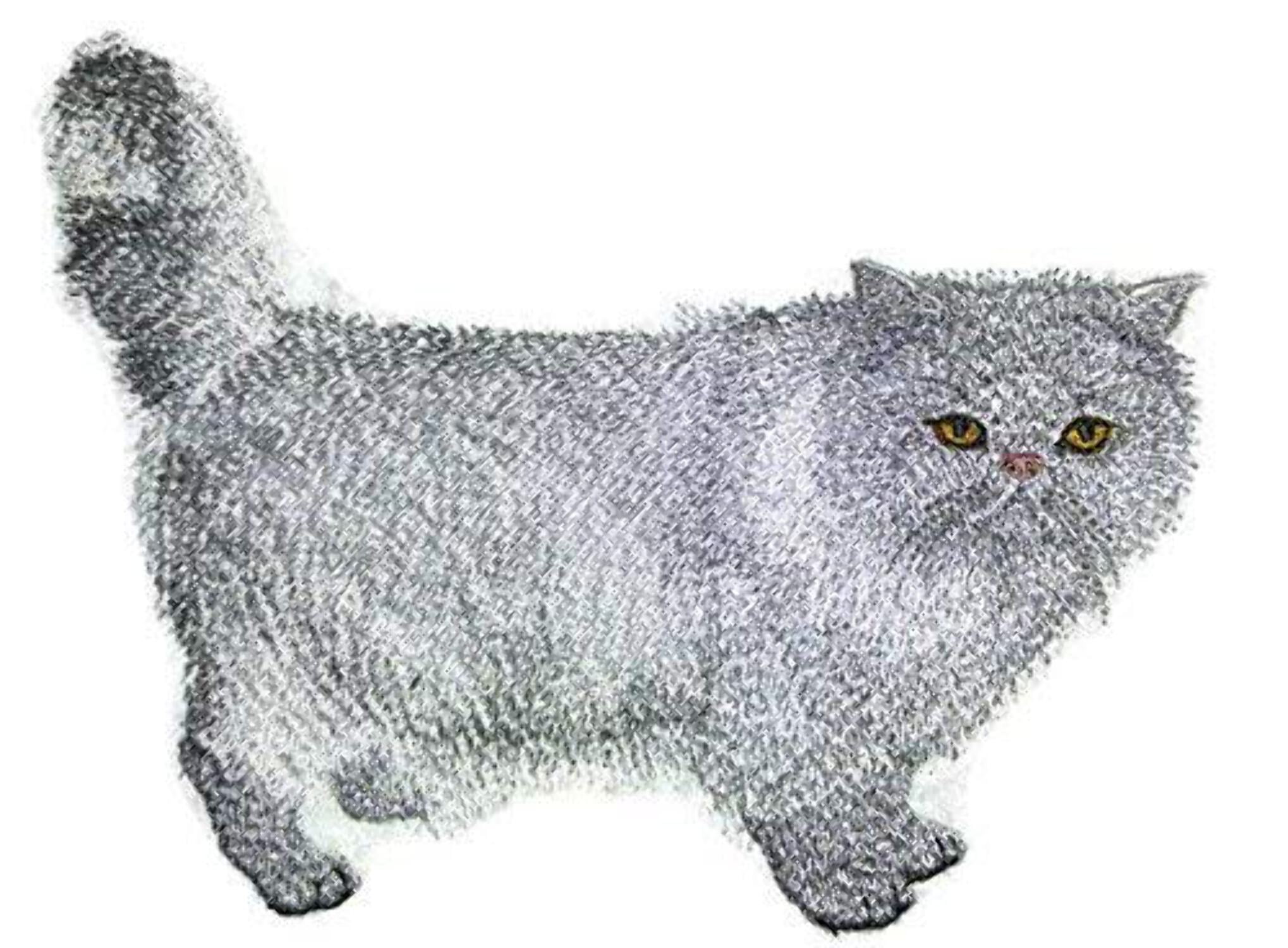 Custom Cat Portrait [Persian Cat] Embroidered Iron On/Sew patch [4.86" x 6.26"]