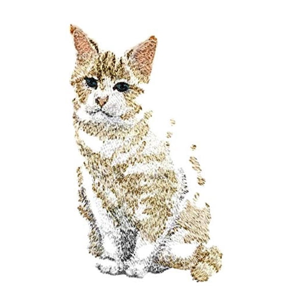 Amazing Custom Cat Portraits [Angle The Cat] Embroidered Iron On/Sew Patch (4.5" x 3.1") Made in USA