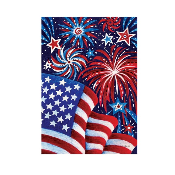Fireworks and Flag 3986 Decorative Flag