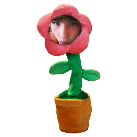 Custom Dancing Talking Sunflower Diy Stuffed Toy Personalized Photo Mimicking Voice Rechargeable Plush Toy(Pink-36X15Cm)