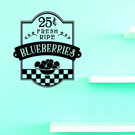 Custom Decals 25 Cents Fresh Ripe Blueberries Wall Art Size: 20 Inches x 40 Inches