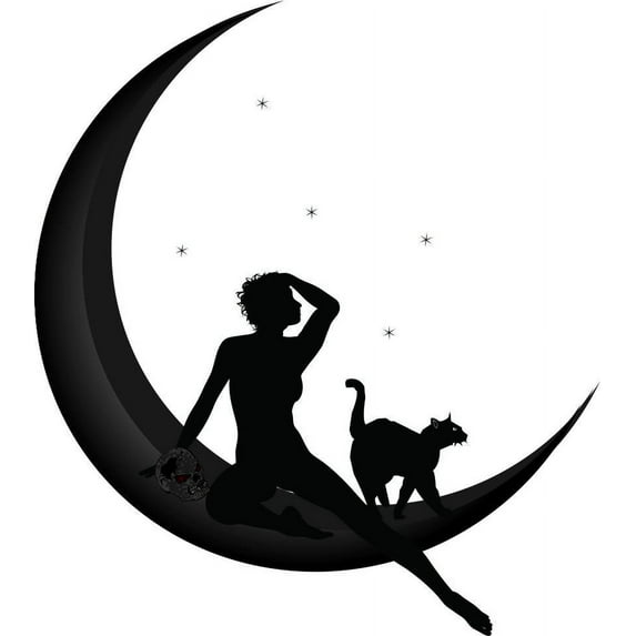 Custom Decals Girl With Cat Girls Bed Room 20 Inches X 20 Inches