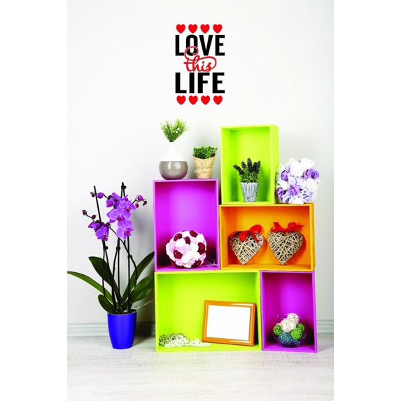 Custom Decals Love This Life Wall Art Size: 20 X 40 Inches Color: Multi