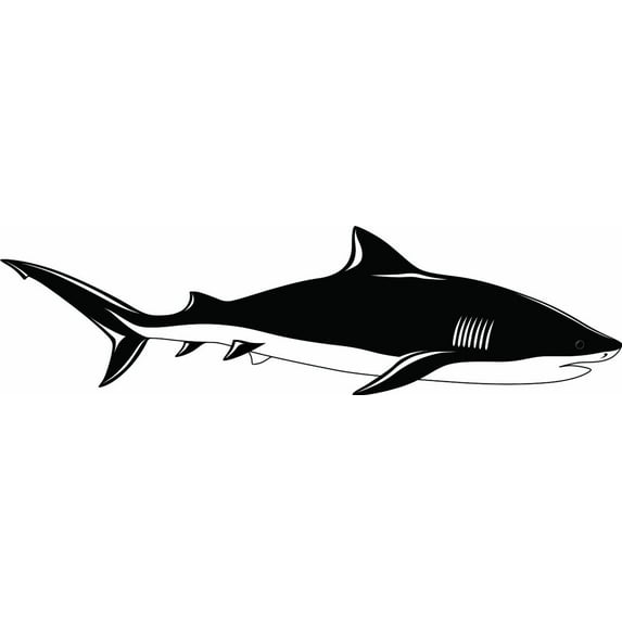 Custom Decals - Prices Reduced Shark, Black & White - - Vinyl Wall Sticker 20x50"