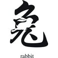 thumbnail image 1 of Custom Decals Rabbit 12 X 24 Inches, 1 of 1