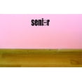 thumbnail image 1 of Custom Decals Senior 2020 Wall Art Size: 20 X 40 Inches Color: Black, 1 of 1