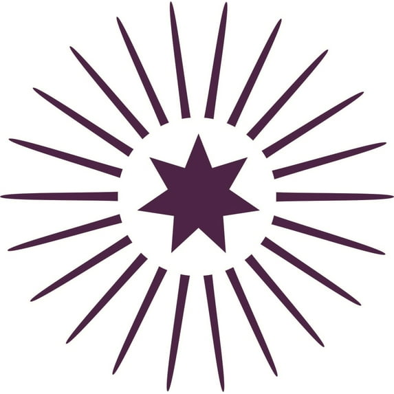 Custom Decals Star Design 14 X 14 Inches