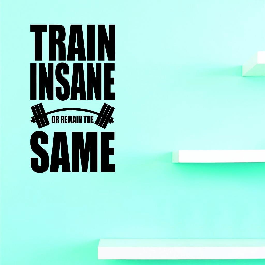 Custom Decals Train Insane Or Remain The Same Wall Art Size: 14 X 28 ...
